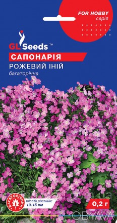 Сапонария Розовый иней - это растение с невероятно красивыми цветами нежно-розов. . фото 1