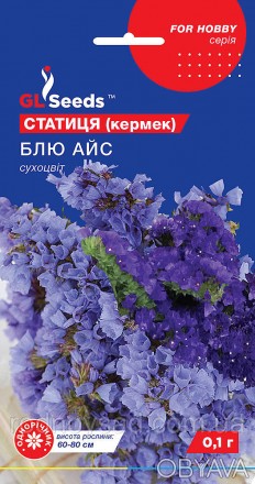 Статиця Кермек Блю Айс - это прекрасное растение с ярко-голубыми цветами, которы. . фото 1