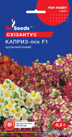 Схизантус Каприз - один из лучших видов этой цветочной культуры, который относит. . фото 1