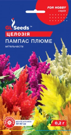 Целозия Пампас Плюме - незабываемое растение, которое впечатляет своей грацией и. . фото 2