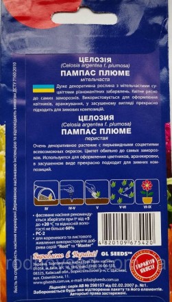 Целозия Пампас Плюме - незабываемое растение, которое впечатляет своей грацией и. . фото 3