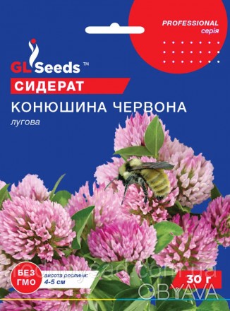 Клевер Красный семена (30 г), Professional, TM GL Seeds