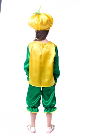 Дитячий карнавальний костюм "Груша"
 Костюм складається з: сорочки із зображення. . фото 4