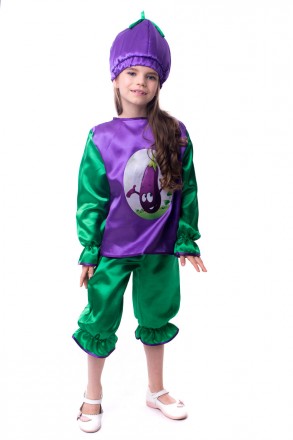 Детский карнавальный костюм " Баклажан "
Костюм состоит из: рубашки с изображени. . фото 5