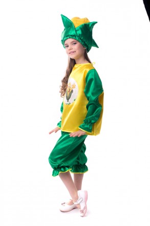 Дитячий карнавальний костюм "Кукурудза"
 Костюм складається з: сорочки з зображе. . фото 3