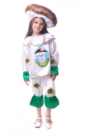 Дитячий маскарадний костюм "Гриб Боровик"
Костюм состоит из: рубашки с изображен. . фото 2