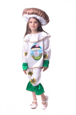 Дитячий маскарадний костюм "Гриб Боровик"
Костюм состоит из: рубашки с изображен. . фото 3