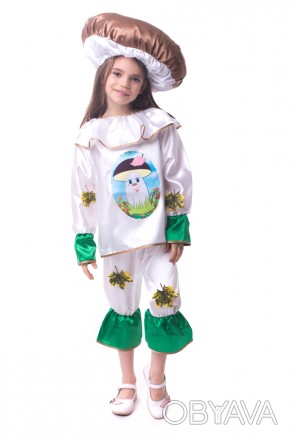 Дитячий маскарадний костюм "Гриб Боровик"
Костюм состоит из: рубашки с изображен. . фото 1