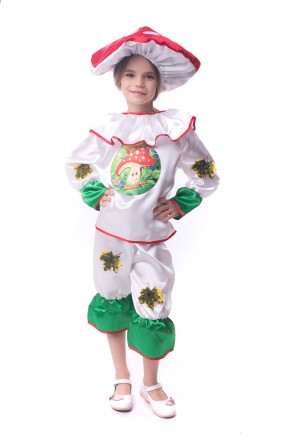 Детский маскарадный костюм "Мухомора"
 Костюм состоит из: рубашки с изображением. . фото 5