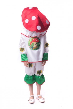 Детский маскарадный костюм "Мухомора"
 Костюм состоит из: рубашки с изображением. . фото 4