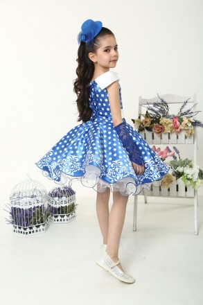 Шикарное детское нарядное платье "Горох" в синем цвете
Размеры и параметры:
Р30:. . фото 5