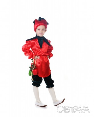 Детский карнавальный костюм "Перец" 
 Костюм состоит из: рубашки с изображением . . фото 1