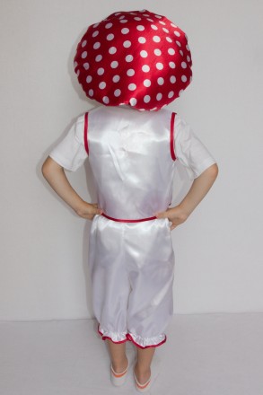 Детский маскарадный костюм "Мухомора"
 Костюм состоит из: жилет , штанов, пояса . . фото 4