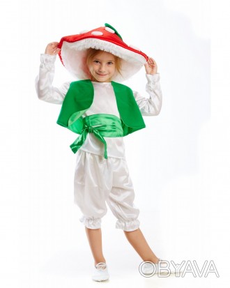 Детский маскарадный костюм "Мухомора"
 Костюм состоит из: головной убор, рубашка. . фото 1