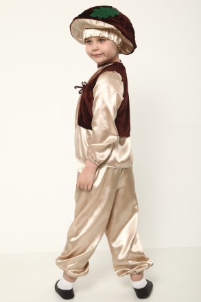 Дитячий маскарадний костюм "Гриб Боровик"
Костюм складається з: головний убір, с. . фото 4