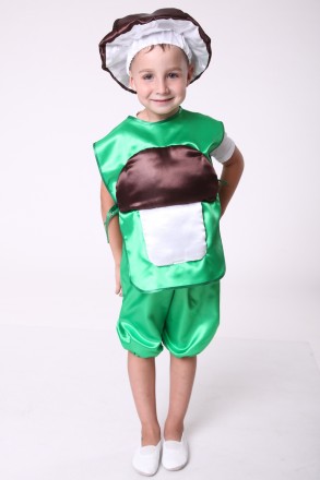 Детский маскарадный костюм "Гриб Боровик"
Костюм состоит из: жилета с изображени. . фото 2