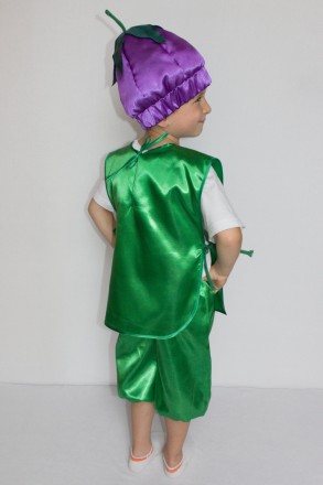 Дитячий карнавальний костюм " Баклажан"
Костюм складається з: жилет із зображенн. . фото 4