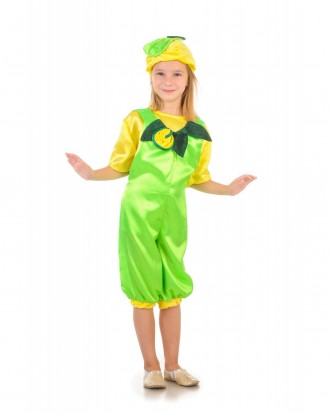 Детский карнавальный костюм "Кабачок"
 Костюм состоит из: головной убор, комбине. . фото 2