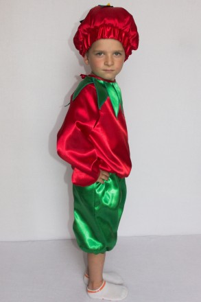 Детский карнавальный костюм " Помидор "
 Костюм состоит из: жилета с изображение. . фото 4