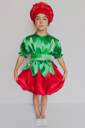 Детский карнавальный костюм " Помидор "
 Костюм состоит из: головной убор, плать. . фото 4