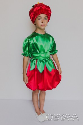 Детский карнавальный костюм " Помидор "
 Костюм состоит из: головной убор, плать. . фото 1