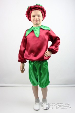Дитячий маскарадний костюм "Буряк"
 Костюм складається з: сорочки із зображенням. . фото 1