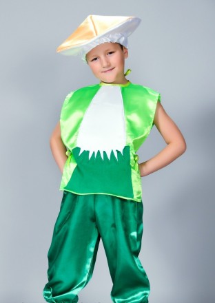 Дитячий маскарадний костюм "Гриб"
Костюм складається з: жилета, штанів і шапочки. . фото 7