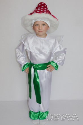 Детский карнавальный костюм для мальчика «МУХОМОР».
Основная ткань: атлас;
Отдел. . фото 1
