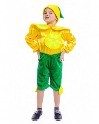 Дитячий карнавальний костюм «ЛІМОН».
Дитячий карнавальний костюм ЛІМОН.
У компле. . фото 2