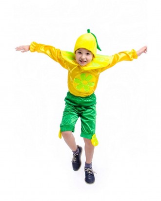 Детский карнавальный костюм «ЛИМОН».
Детский карнавальный костюм ЛИМОН.
В компле. . фото 3