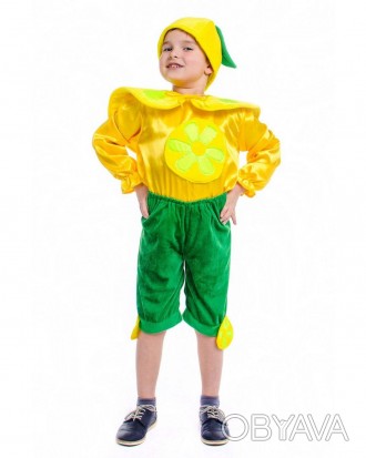 Детский карнавальный костюм «ЛИМОН».
Детский карнавальный костюм ЛИМОН.
В компле. . фото 1