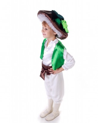 Детский карнавальный костюм ГРИБ Масленок
В комплекте: головной убор, рубашка, к. . фото 3