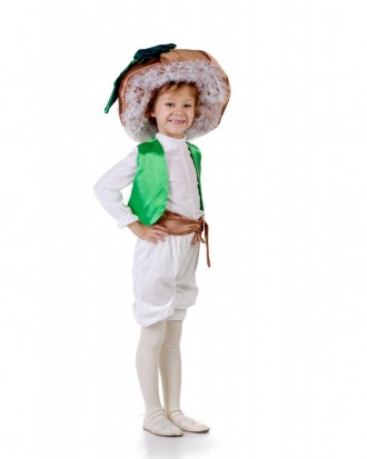 Детский карнавальный костюм ГРИБ Масленок
В комплекте: головной убор, рубашка, к. . фото 2