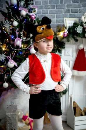  Дитячий карнавальний костюм "Мікі Маус"
Карнавальний костюм Мінікі-Мауса. У ком. . фото 5
