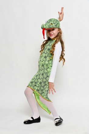 Детский новогодний костюм "Змея"
 
Детский карнавальный костюм.
В комплекте: гол. . фото 7