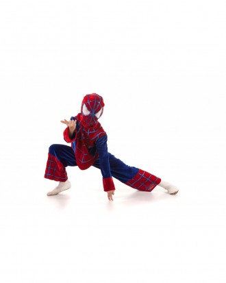 Детский карнавальный костюм "Человека-паука"
Детский карнавальный костюм Человек. . фото 4