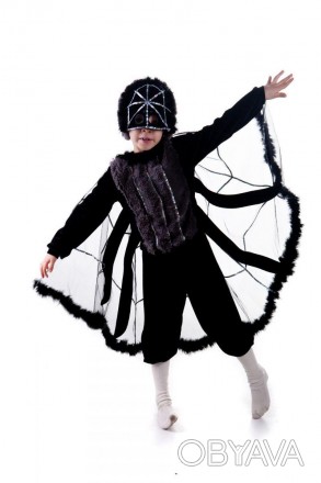 Дитячий карнавальний костюм "Павук"
 
Дитячий карнавальний костюм Павук
Розмір: . . фото 1