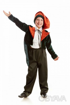 Детский карнавальный костюм Дуремар, из сказки "Золотой ключик"
В комплекте: гол. . фото 1