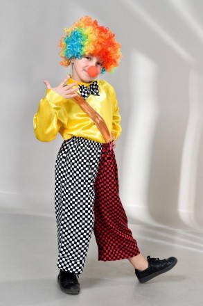 Детский карнавальный костюм Клоун.
 В комплект входит: парик, рубашка, штанишки,. . фото 4