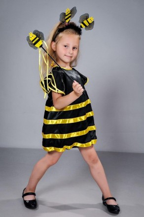 Детский карнавальный костюм Пчела
Детский карнавальный костюм Пчела
В комплекте:. . фото 4