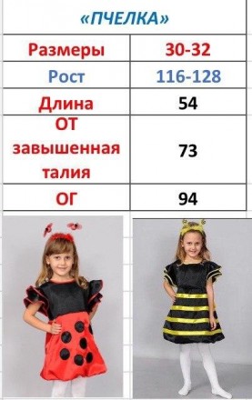 Детский карнавальный костюм Пчела
Детский карнавальный костюм Пчела
В комплекте:. . фото 3