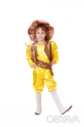 Детский карнавальный костюм Колосок для мальчика, девочки.
В комплекте карнаваль. . фото 1