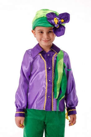 
Детский карнавальный костюм цветок ирис
В карнавальный костюм входят:
	Кепка
	Ш. . фото 5