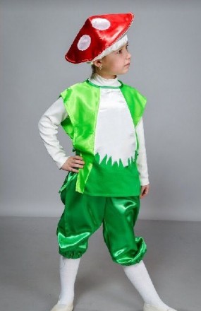 Дитячий маскарадний костюм "Гриб"
Костюм складається з: жилета, штанів і шапочки. . фото 2