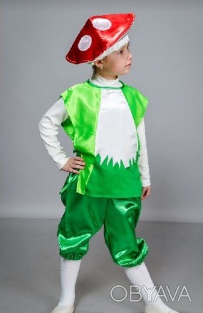 Дитячий маскарадний костюм "Гриб"
Костюм складається з: жилета, штанів і шапочки. . фото 1