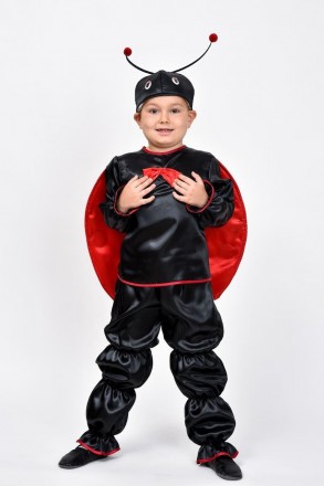 Карнавальный костюм для мальчика "Божья коровка"
 
Детский карнавальный костюм Б. . фото 4