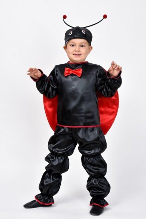 Карнавальный костюм для мальчика "Божья коровка"
 
Детский карнавальный костюм Б. . фото 8