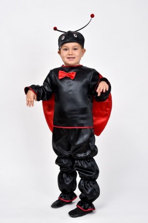 Карнавальный костюм для мальчика "Божья коровка"
 
Детский карнавальный костюм Б. . фото 7