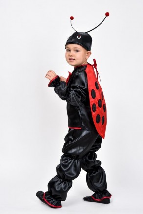 Карнавальный костюм для мальчика "Божья коровка"
 
Детский карнавальный костюм Б. . фото 6
