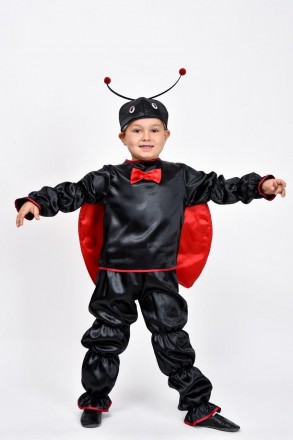 Карнавальный костюм для мальчика "Божья коровка"
 
Детский карнавальный костюм Б. . фото 3